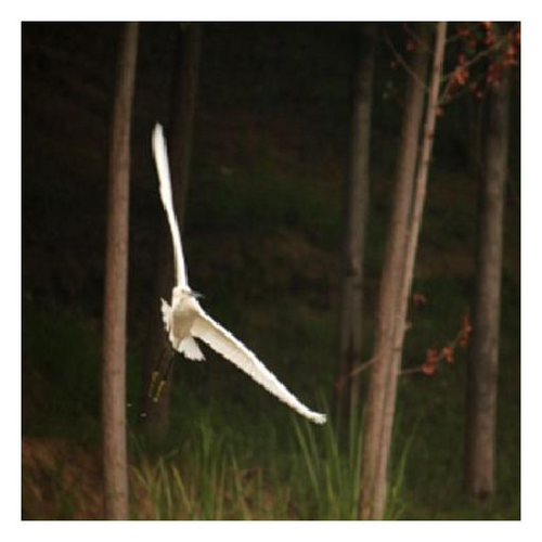 Details are in the caption following the image