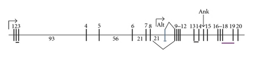 Details are in the caption following the image