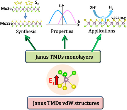 2D Janus Transition Metal Dichalcogenides: Properties and Applications