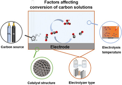 Dissecting Key Factors Influencing Electrochemical Conversion of Carbon Solutions over Nickel Single Atoms