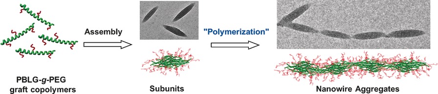 Hierarchical Nanowires Synthesized by Supramolecular Stepwise Polymerization