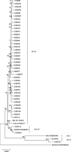 Details are in the caption following the image Details are in the caption following the image