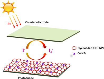 Microwave-assisted hydrothermal synthesis of Cu-doped TiO2 nanoparticles for efficient dye-sensitized solar cell with improved open-circuit voltage