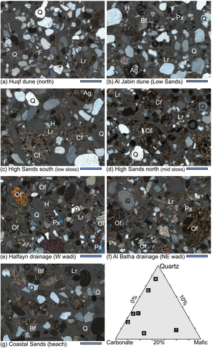 Details are in the caption following the image Details are in the caption following the image