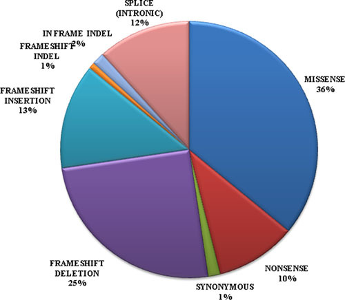 Pseudohypoparathyroidism Type Ia and Pseudo-Pseudohypoparathyroidism: The Growing Spectrum of GNAS Inactivating Mutations