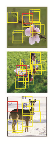 Details are in the caption following the image Details are in the caption following the image