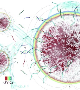 DNA as a Molecular Local Thermal Probe for the Analysis of Magnetic Hyperthermia