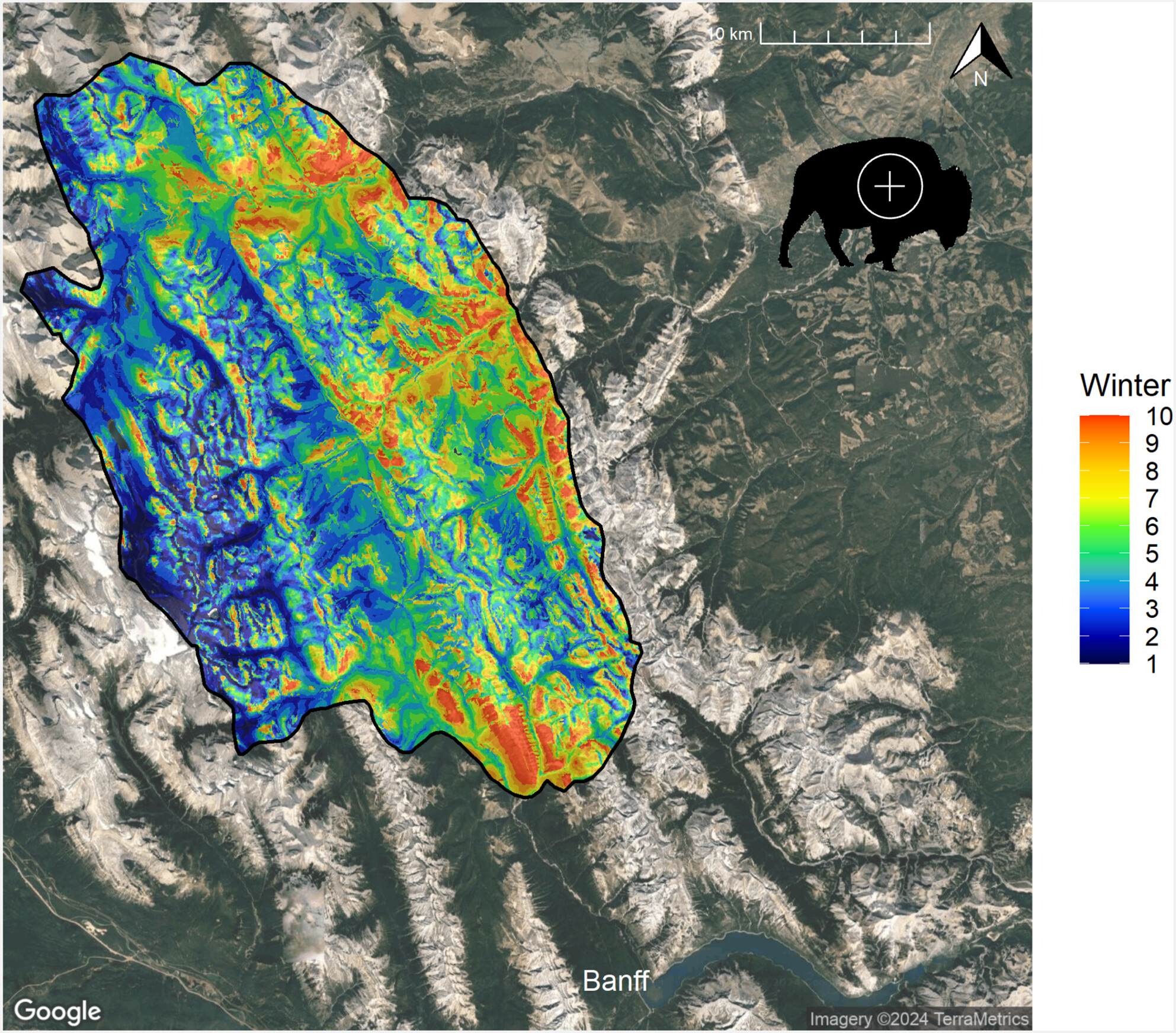 Bison and bighorns: Assessing the potential impacts of reintroducing a large herbivore to a mountainous landscape
