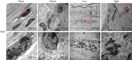 Details are in the caption following the image Details are in the caption following the image