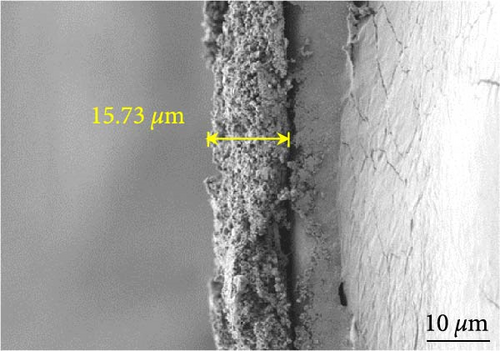 Details are in the caption following the image