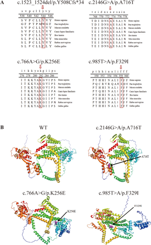 Details are in the caption following the image Details are in the caption following the image