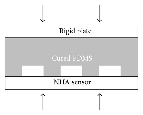 Details are in the caption following the image