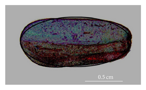 Details are in the caption following the image