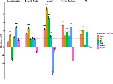 Partitioning heritability analyses unveil the genetic architecture of human brain multidimensional functional connectivity patterns