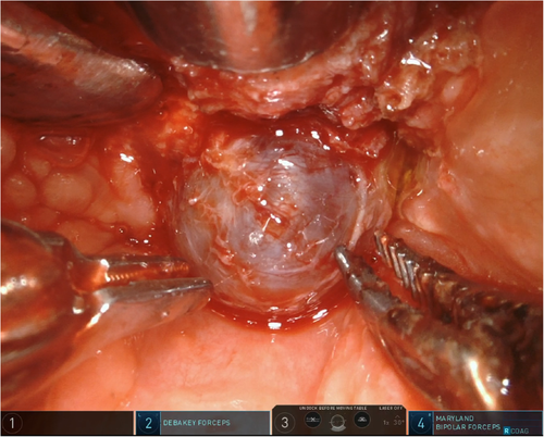Details are in the caption following the image Details are in the caption following the image