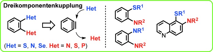 Double Heteroatom Functionalization of Arenes Using Benzyne Three-Component Coupling
