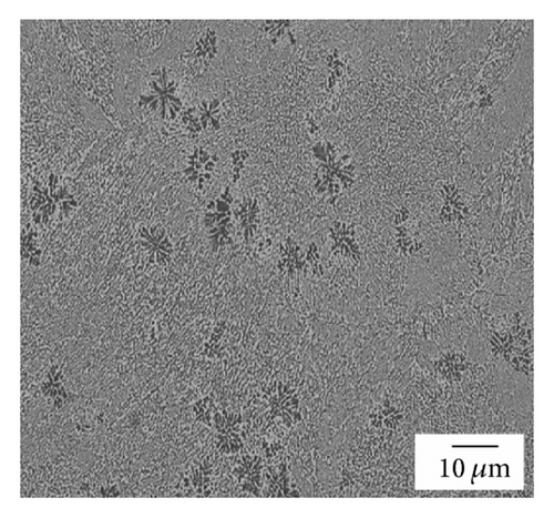 Details are in the caption following the image