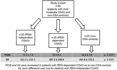 Rapid eye movement dependency is associated with increased inflammatory activity in obstructive sleep apnea syndrome