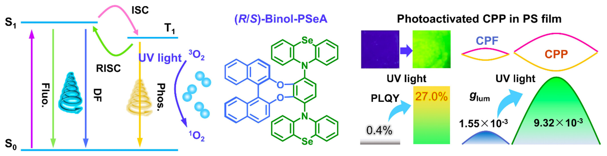 Photoactivated Circularly Polarized Room-Temperature Phosphorescence from Phenoselenazine Derivative and Its Application in Information Security†