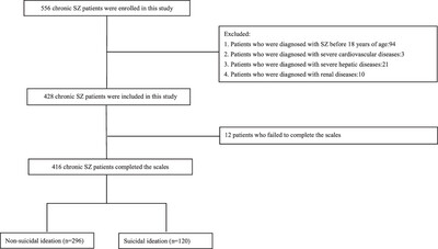 The Relationship Between Attention and Suicidal Ideation Among Patients With Adult-Onset Chronic Schizophrenia