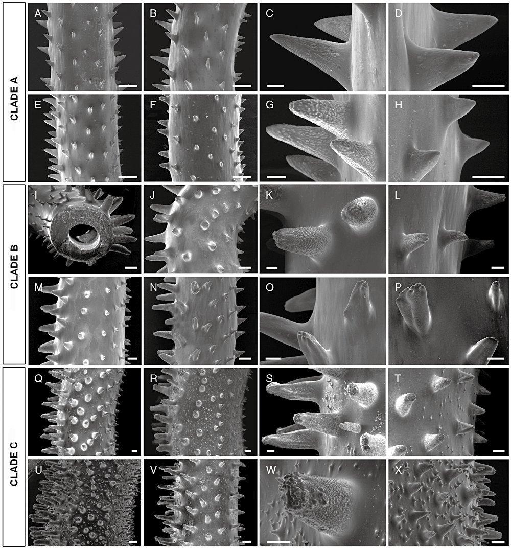 Details are in the caption following the image Details are in the caption following the image