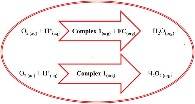 Electrocatalytic properties of a dinuclear cobalt(III) coordination compound in molecular oxygen reduction reaction