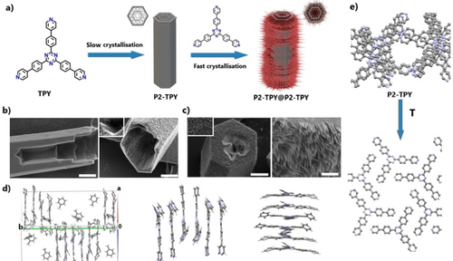 Details are in the caption following the image Details are in the caption following the image