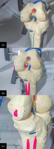 Details are in the caption following the image Details are in the caption following the image