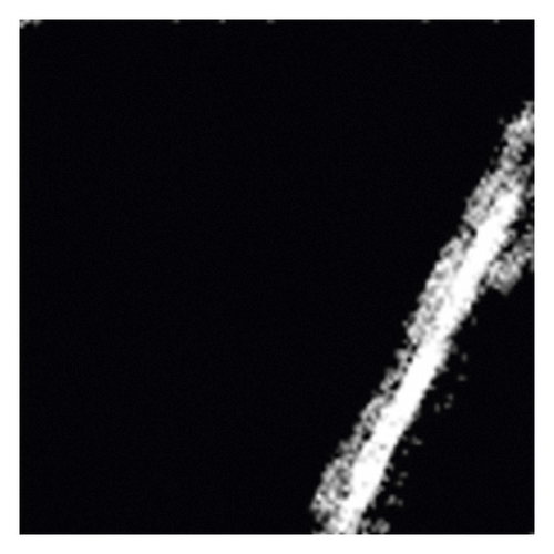 Details are in the caption following the image
