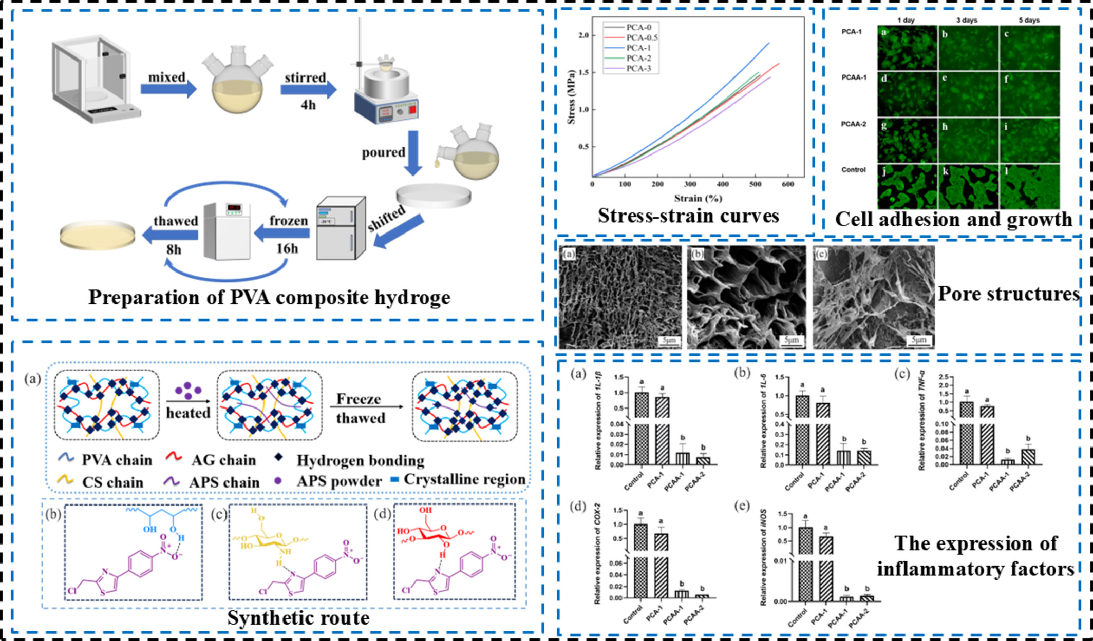 Preparation, Characterization, and In Vitro Anti-Inflammatory Activity of Polyvinyl Alcohol-Based Hydrogels Containing Astragalus Polysaccharide for Cartilage Repair
