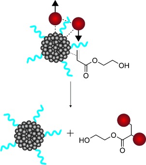 A Nanoparticle Catalyst for Heterogeneous Phase Para-Hydrogen-Induced Polarization in Water