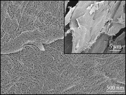 Details are in the caption following the image