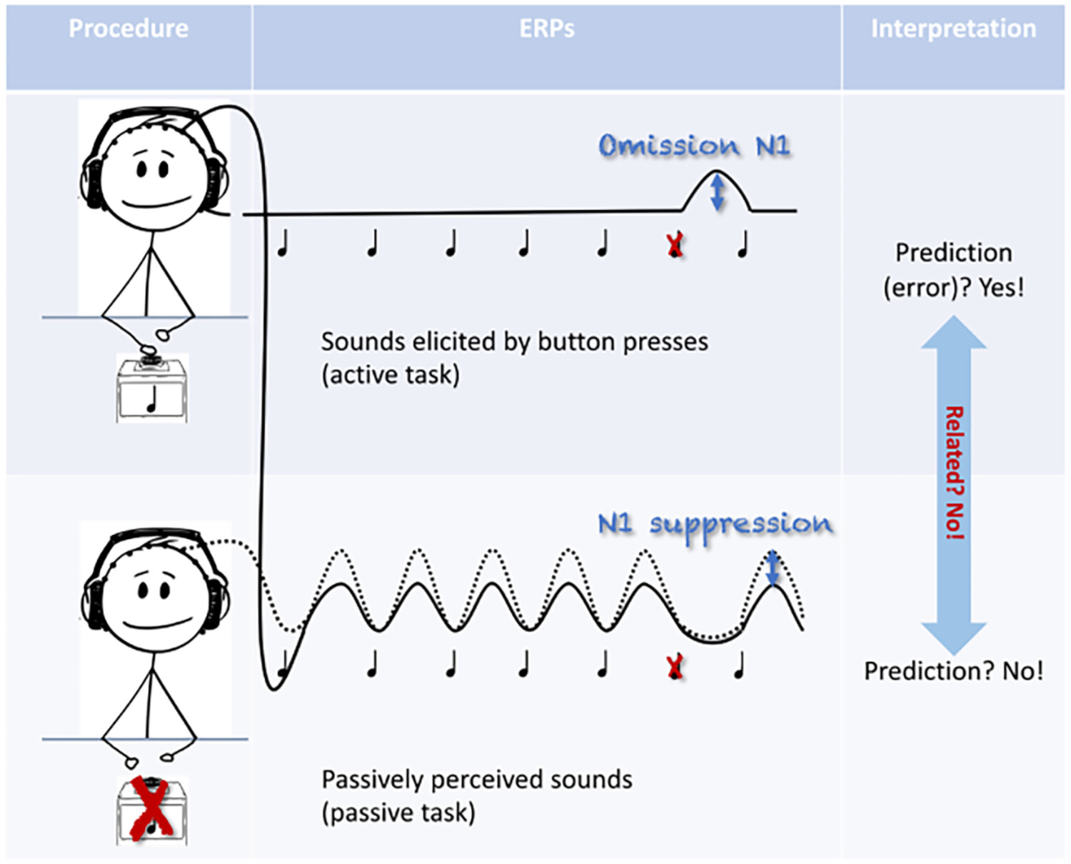 Suppression and omission effects in auditory predictive processing—Two of the same?