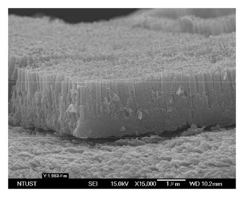Details are in the caption following the image Details are in the caption following the image
