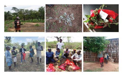 Details are in the caption following the image Details are in the caption following the image