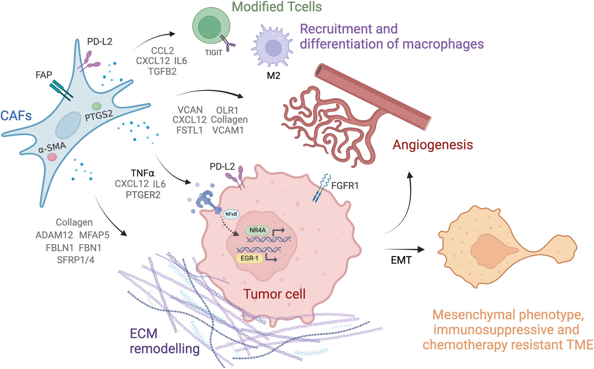 Enrichment of Cancer-Associated Fibroblasts, Macrophages, and Up-Regulated TNF-α Signaling in the Tumor Microenvironment of CMS4 Colorectal Peritoneal Metastasis