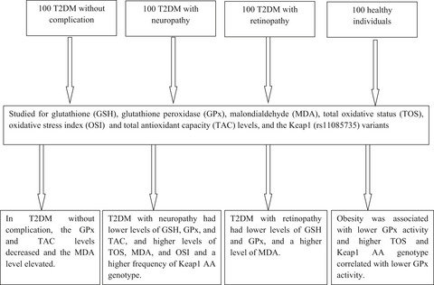 Oxidative stress parameters and keap 1 variants in T2DM: Association with T2DM, diabetic neuropathy, diabetic retinopathy, and obesity