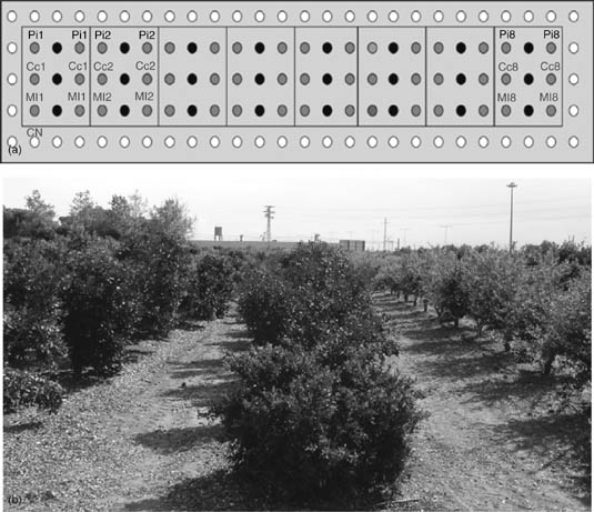 Details are in the caption following the image Details are in the caption following the image
