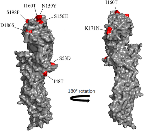 Details are in the caption following the image