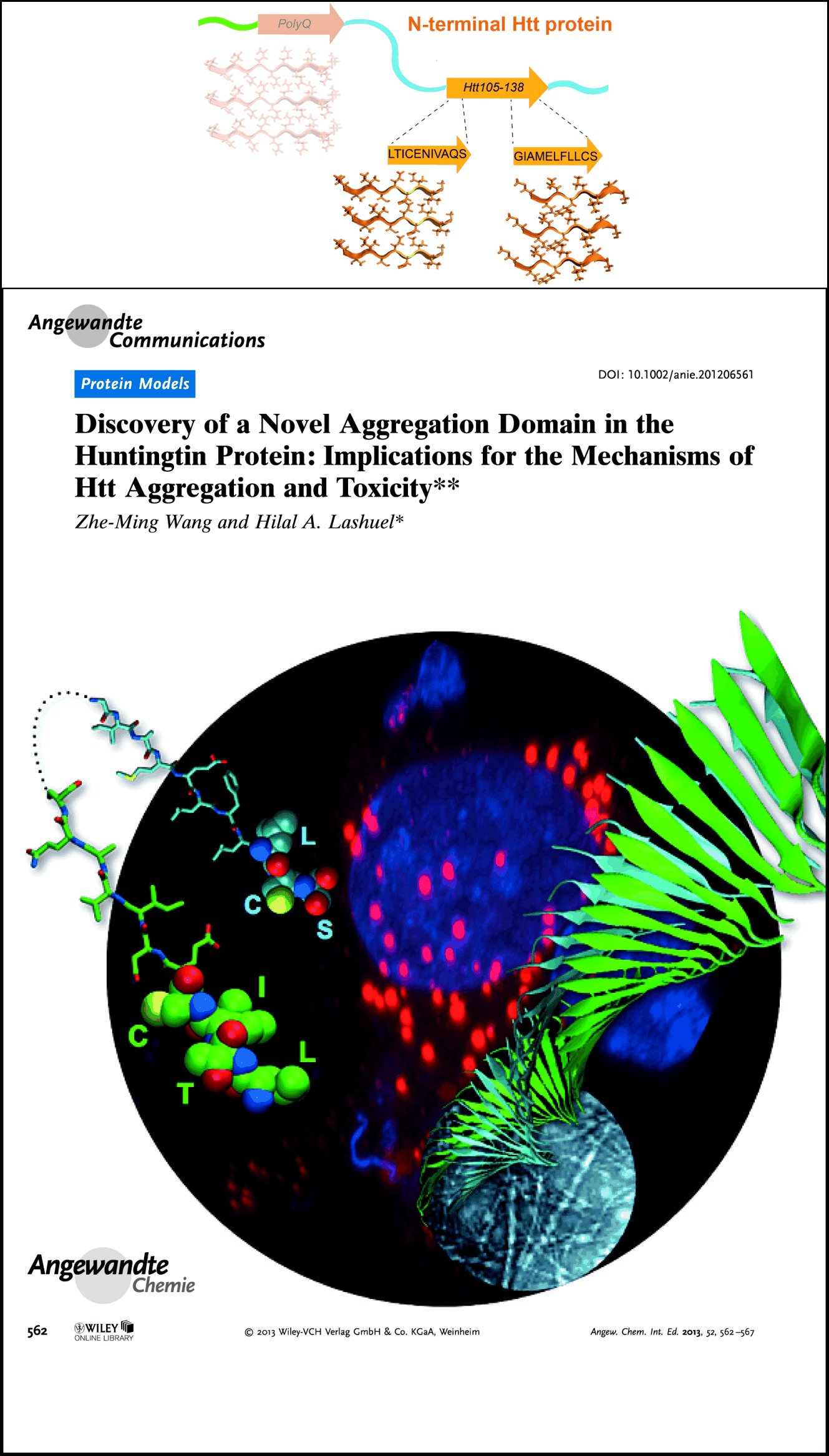 Discovery of a Novel Aggregation Domain in the Huntingtin Protein: Implications for the Mechanisms of Htt Aggregation and Toxicity