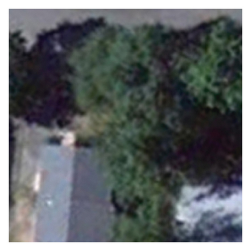 Details are in the caption following the image