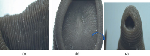 Details are in the caption following the image