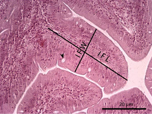 Details are in the caption following the image