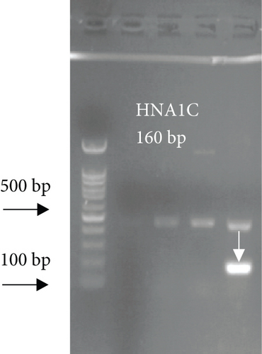 Details are in the caption following the image