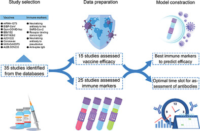 Criteria for judging the immune markers of COVID-19 disease vaccines