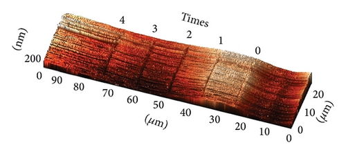 Details are in the caption following the image