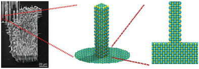 Precursor-Induced Growth of Highly-Oriented Nanowire Arrays