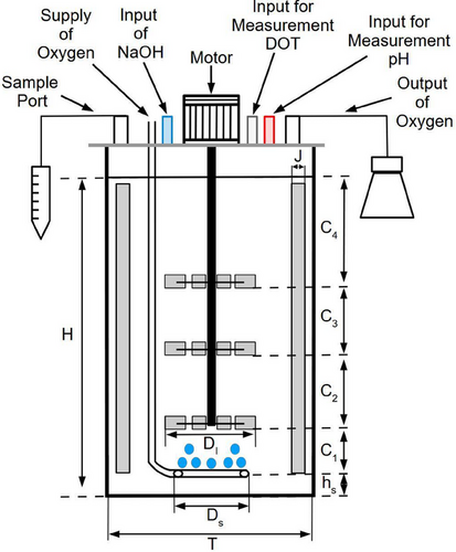 Details are in the caption following the image