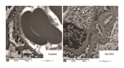 Details are in the caption following the image