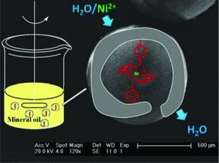 Inverse Suspension Polymerization as a New Tool for the Synthesis of Ion-Imprinted Polymers